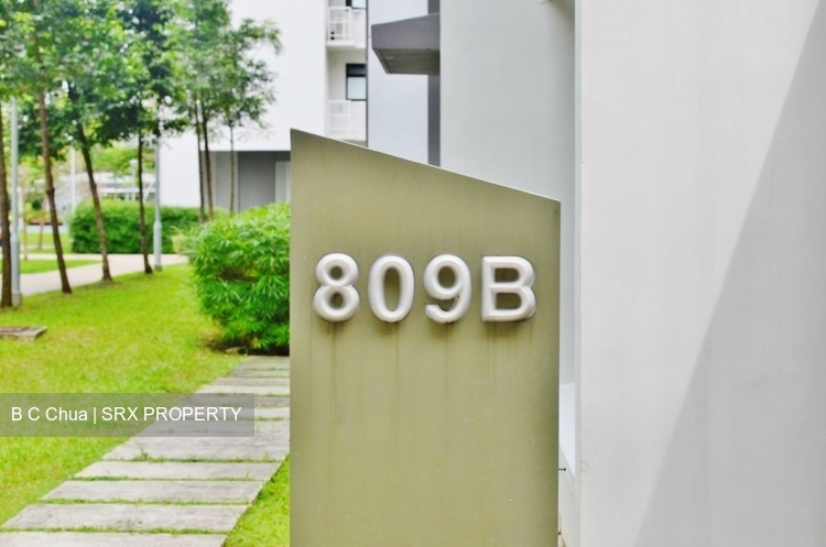 Choa Chu Kang Avenue 1 thumbnail photo